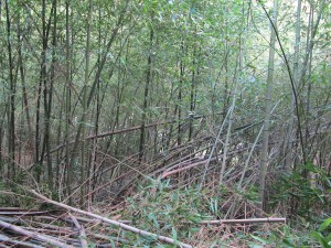 IMG_1449