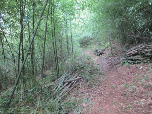 IMG_1510