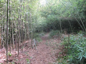 IMG_1516