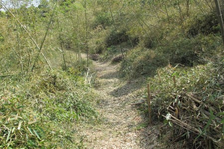 mori3