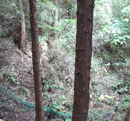 mori_0057