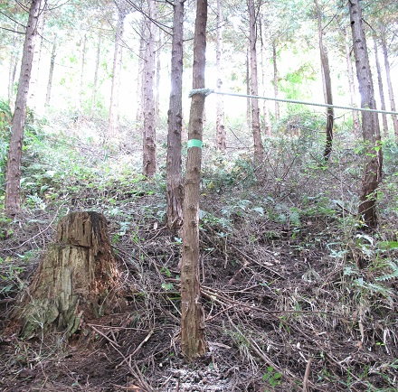 mori_0094