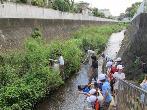 帷子川-3-1